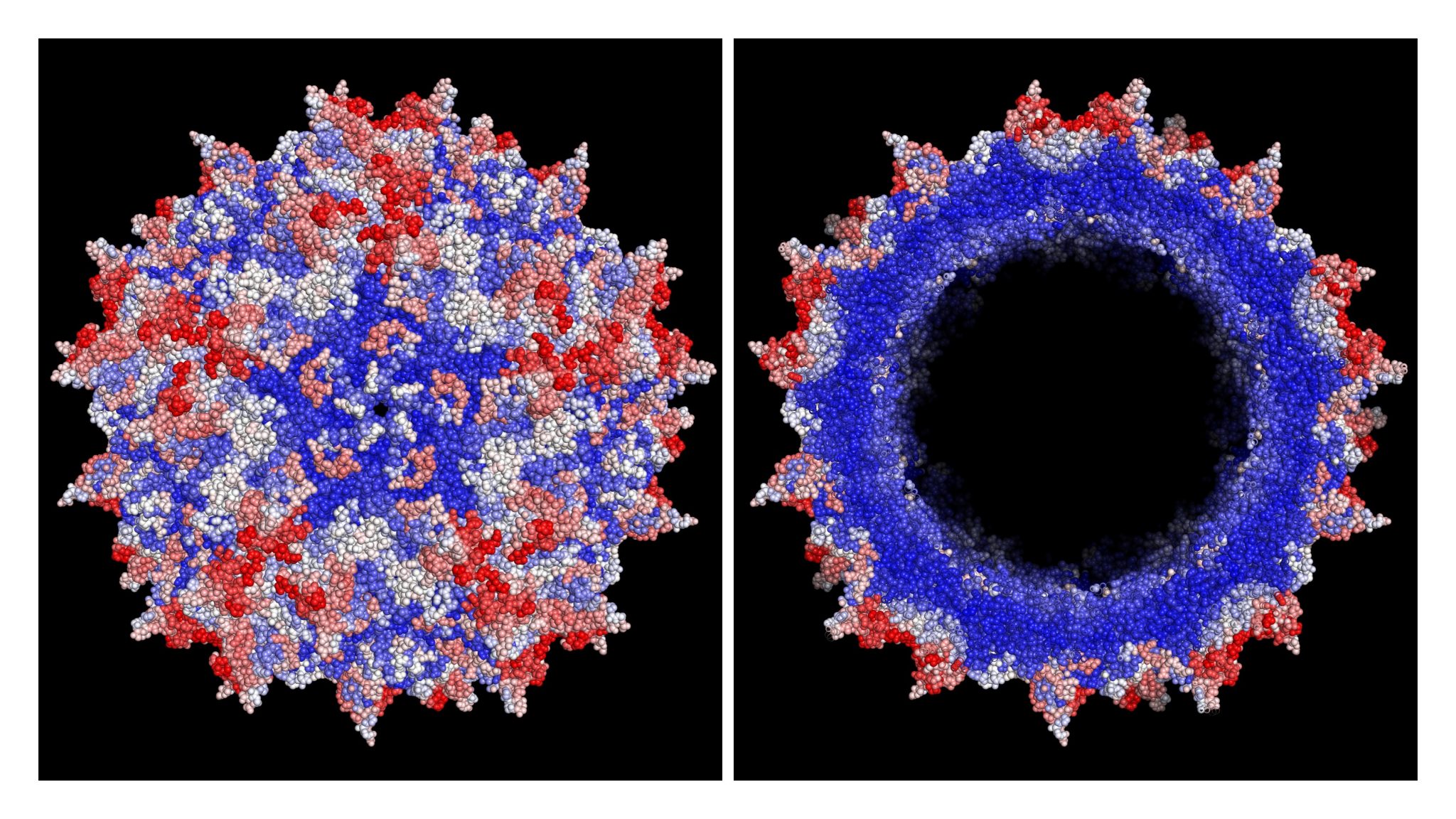 Dyno Therapeutics Announces Research Published In Science Enabling ...